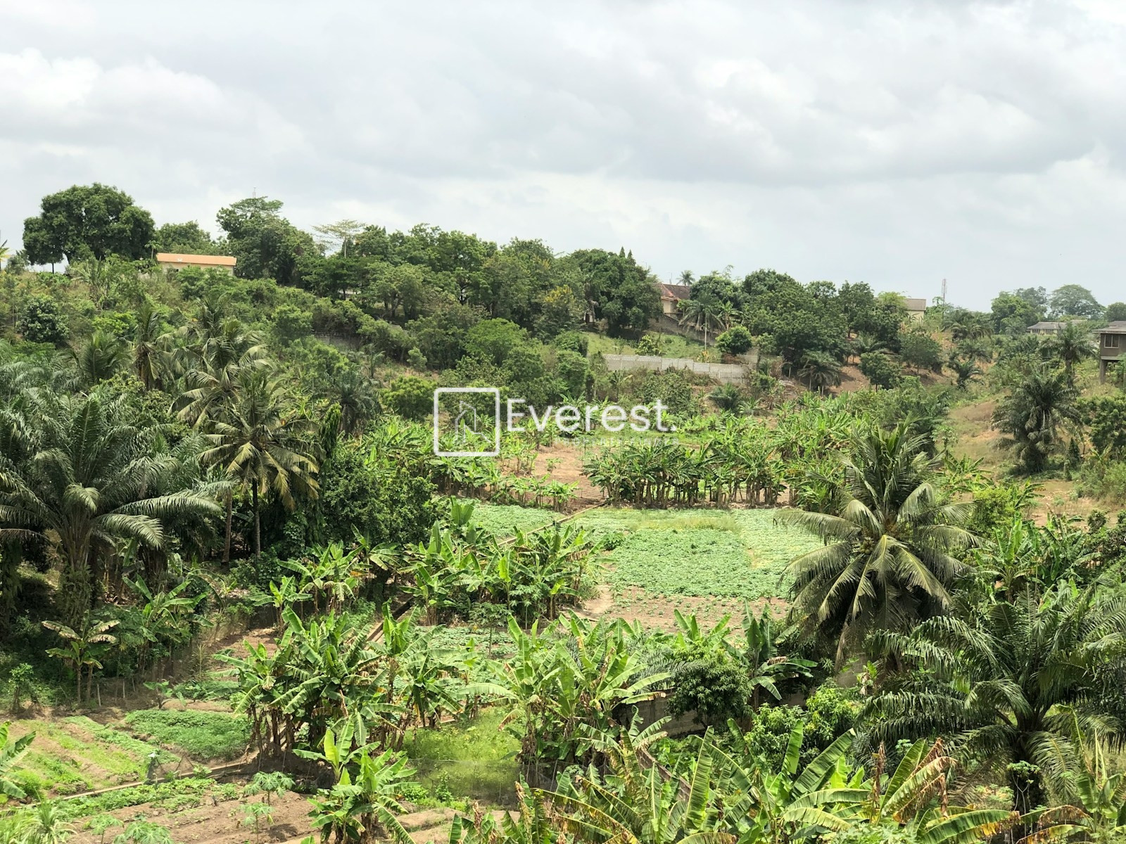 Best Places to Buy Land in Accra