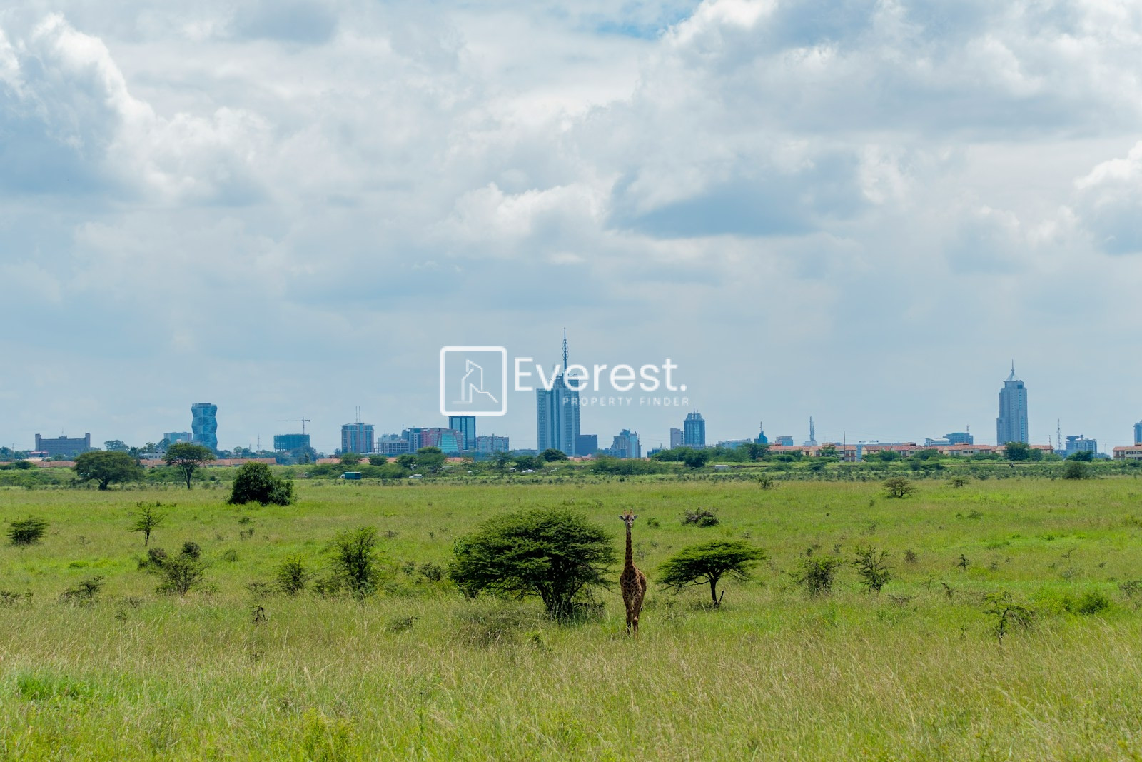Why Nairobi Is Becoming East Africa's Hottest Real Estate Market
