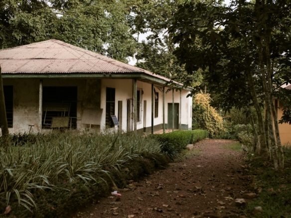 Best Places to Buy Land in Accra Before Prices Increase