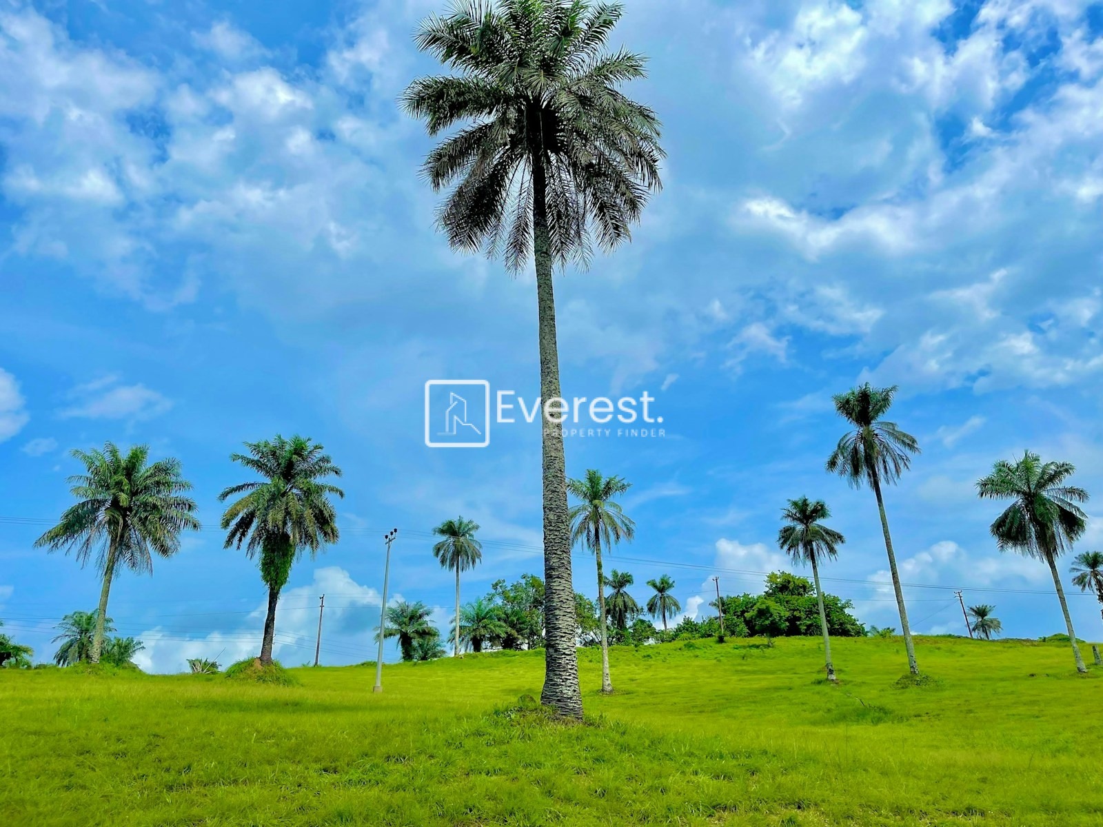 Best Areas to Buy Property in Monrovia