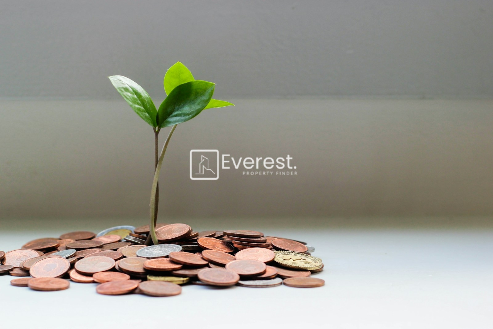Property Investment vs Stock Market