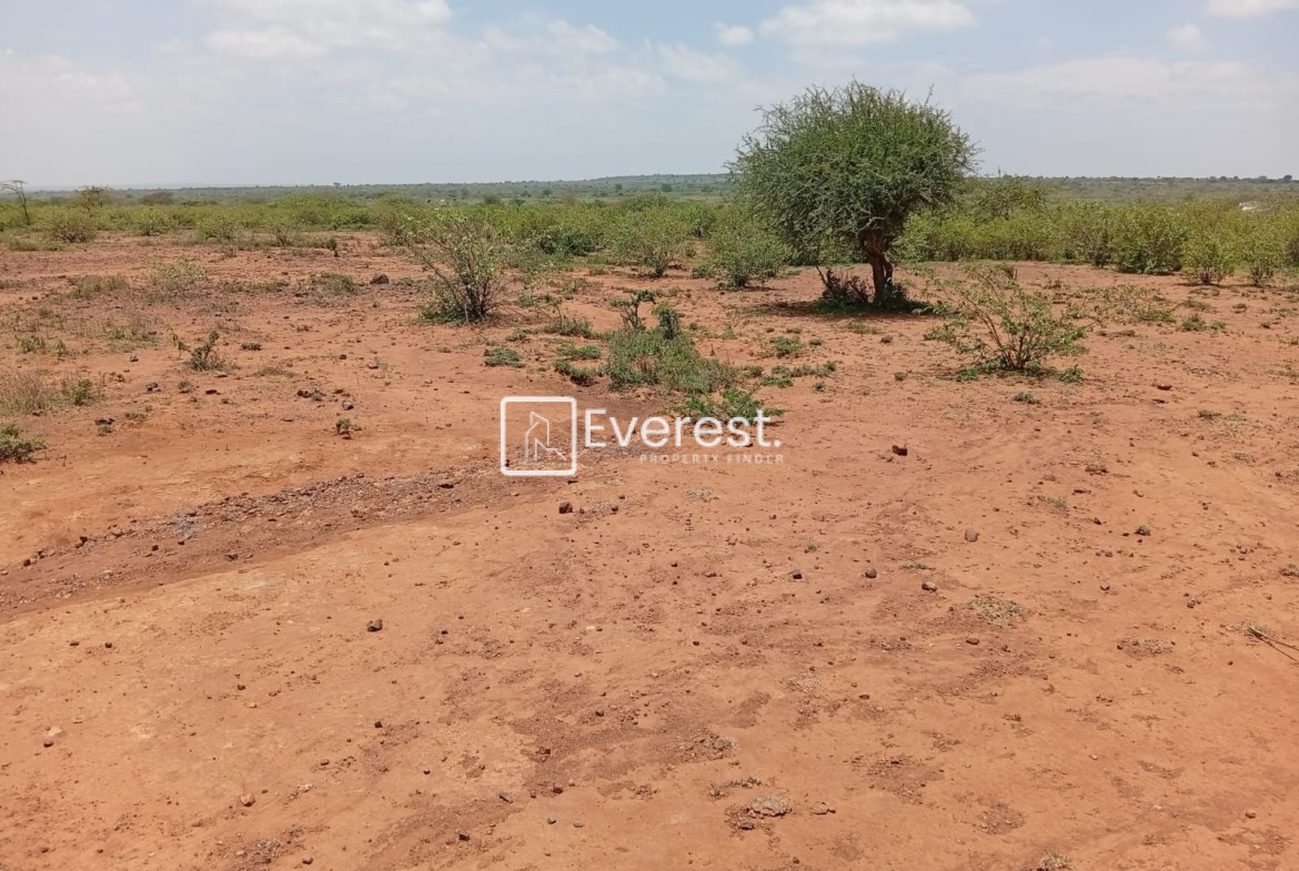 50 Acres of Land for Sale