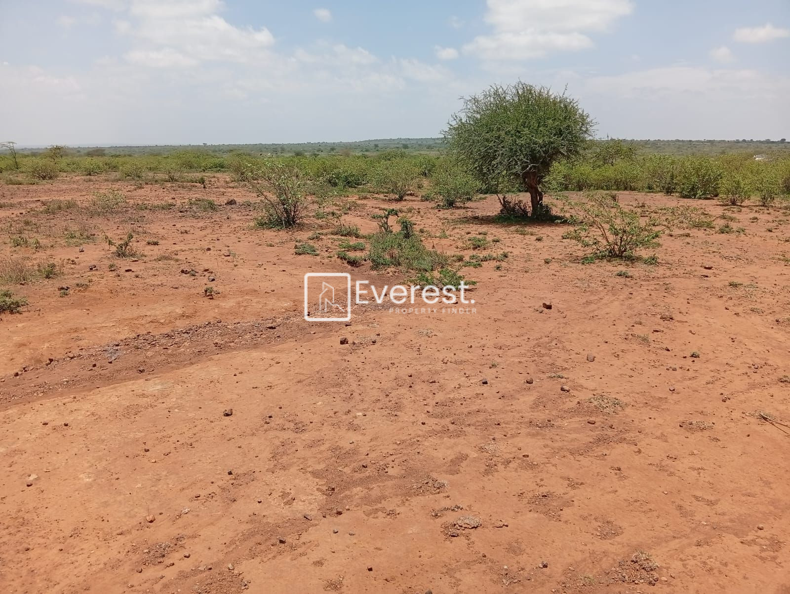 50 Acres of Land for Sale