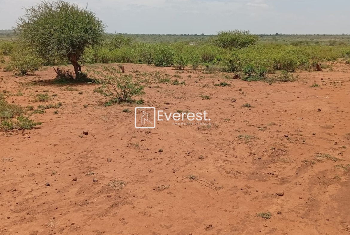 50 Acres of Land for Sale