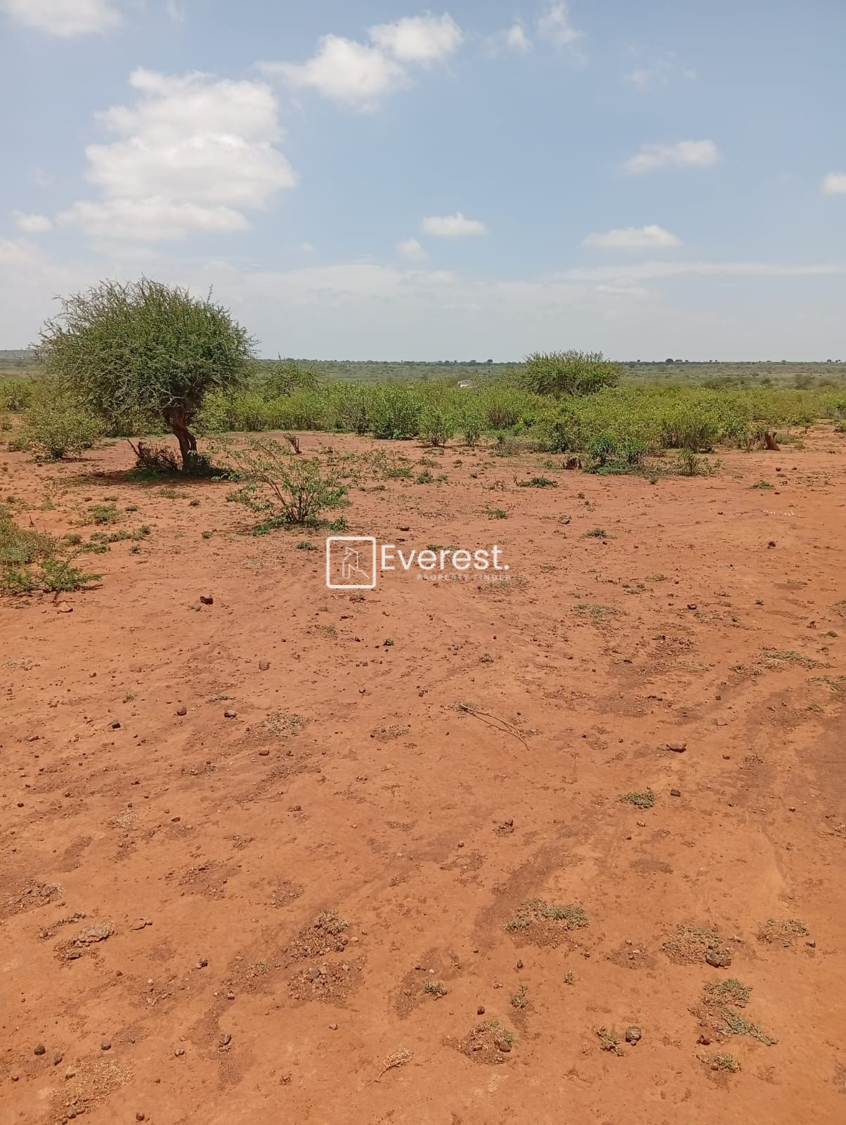 50 Acres of Land for Sale