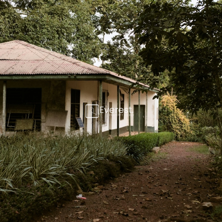 The Ultimate Guide to Property Investment in Ghana