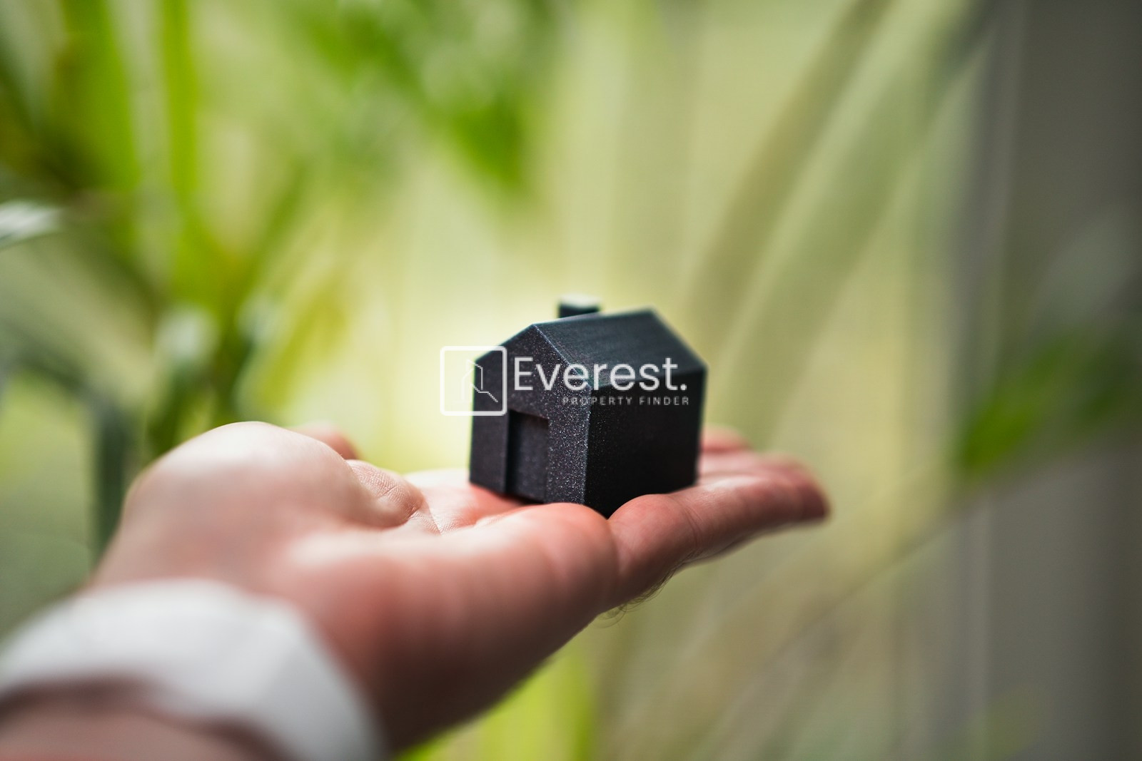First-Time Property Buyer