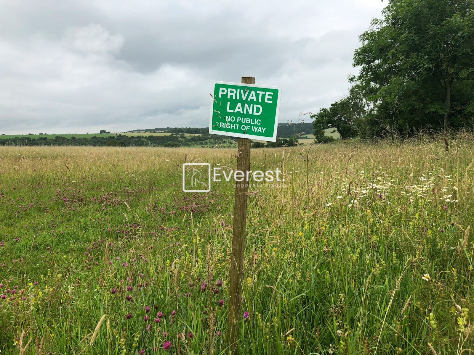 The Complete Guide to Land Banking in Africa